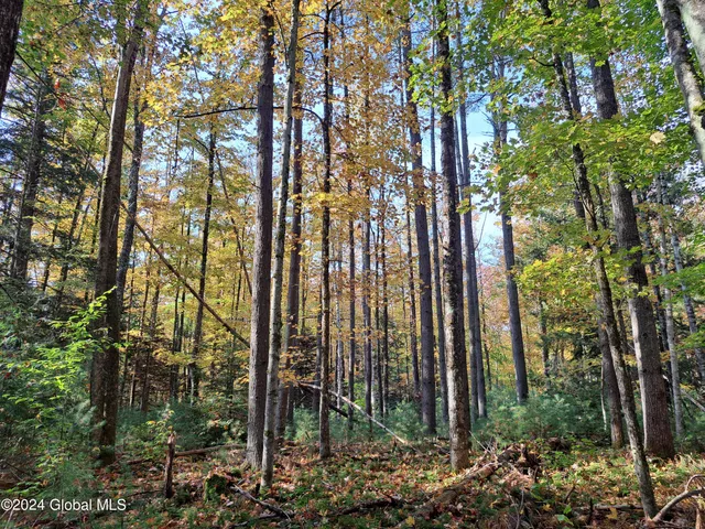 $299,900 | L9 Atateka Road, Chestertown, NY 12817