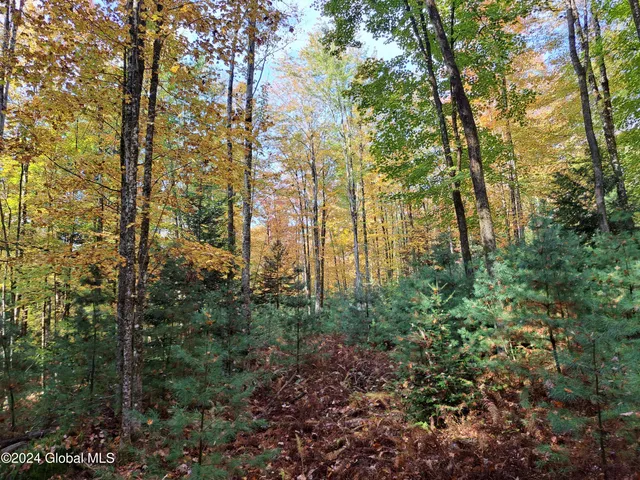 $299,900 | L9 Atateka Road, Chestertown, NY 12817