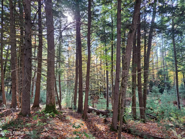 $299,900 | L9 Atateka Road, Chestertown, NY 12817