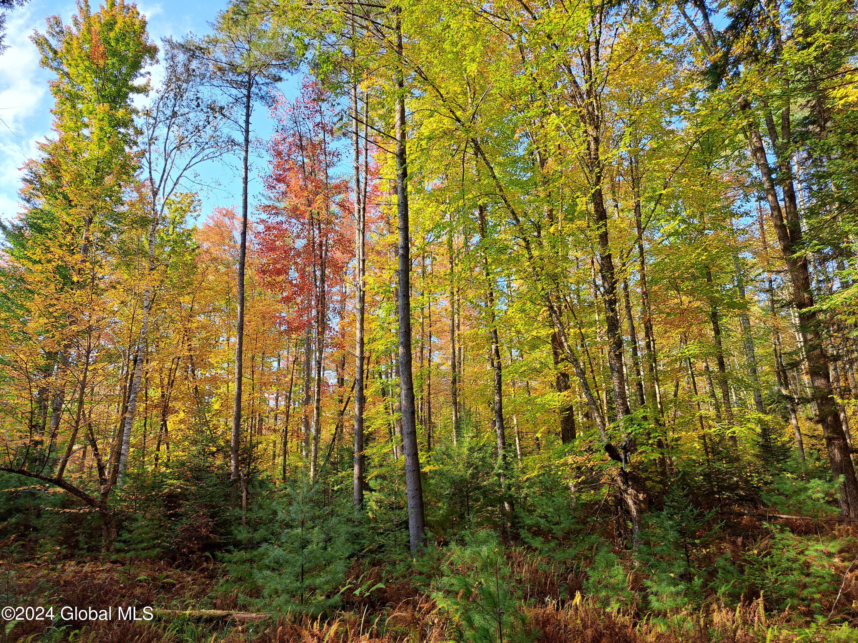 L9 Atateka Road Chestertown, NY 12817 - Photo 26 of 71 27 Hardwoods in Fall Color