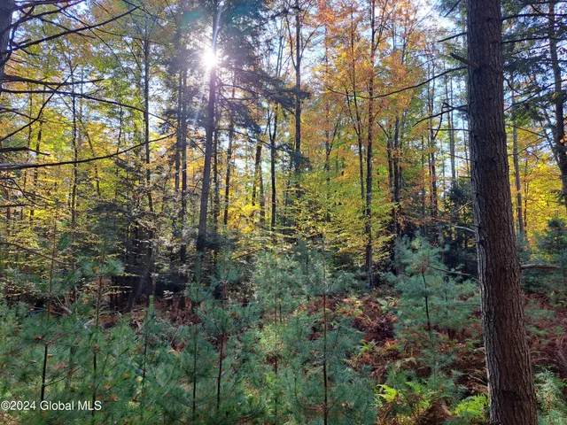 $299,900 | L9 Atateka Road, Chestertown, NY 12817