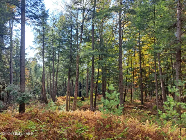 $299,900 | L9 Atateka Road, Chestertown, NY 12817