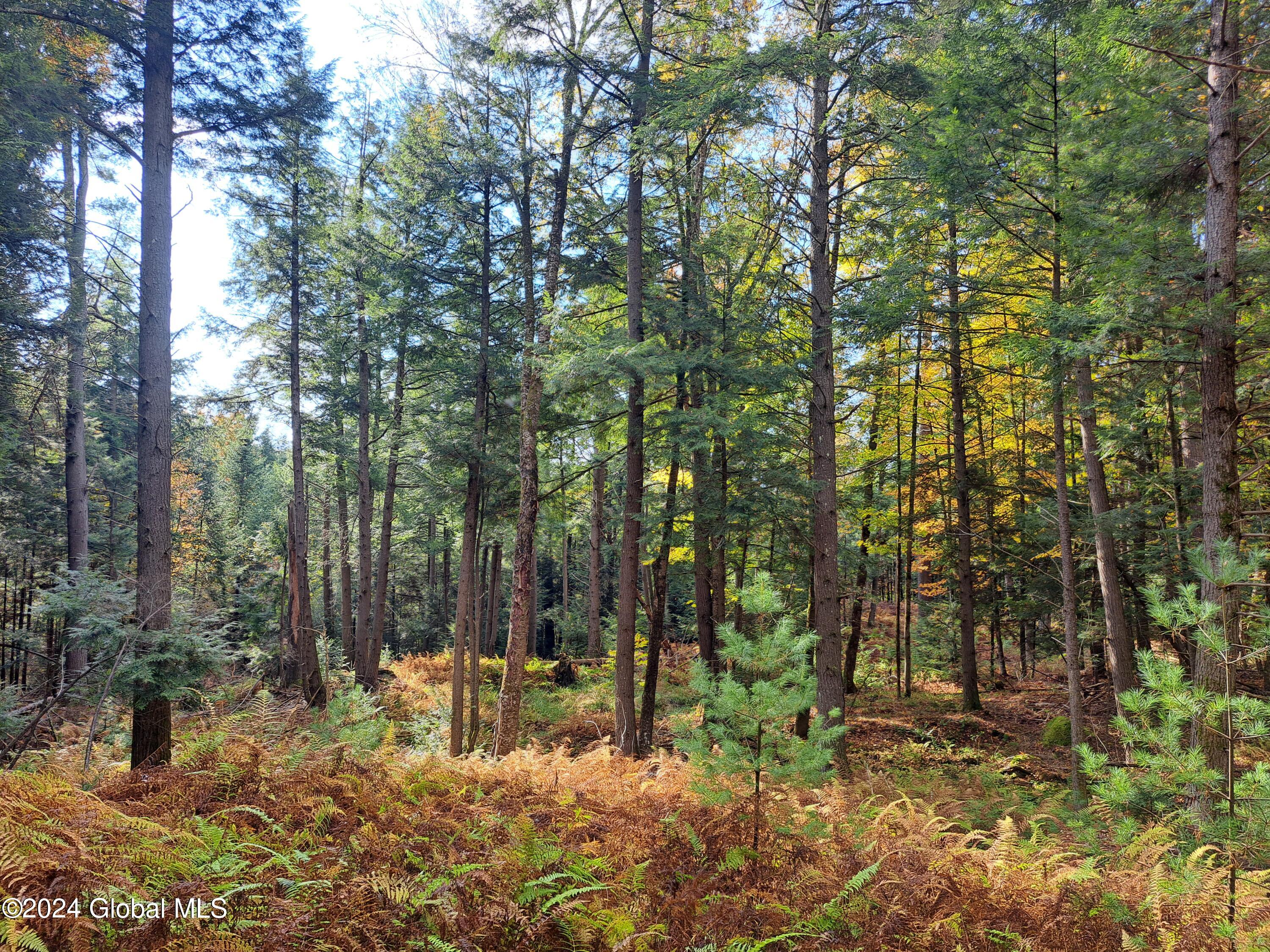 L9 Atateka Road Chestertown, NY 12817 - Photo 28 of 71 29 Ferns