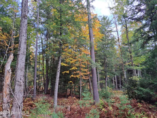 $299,900 | L9 Atateka Road, Chestertown, NY 12817