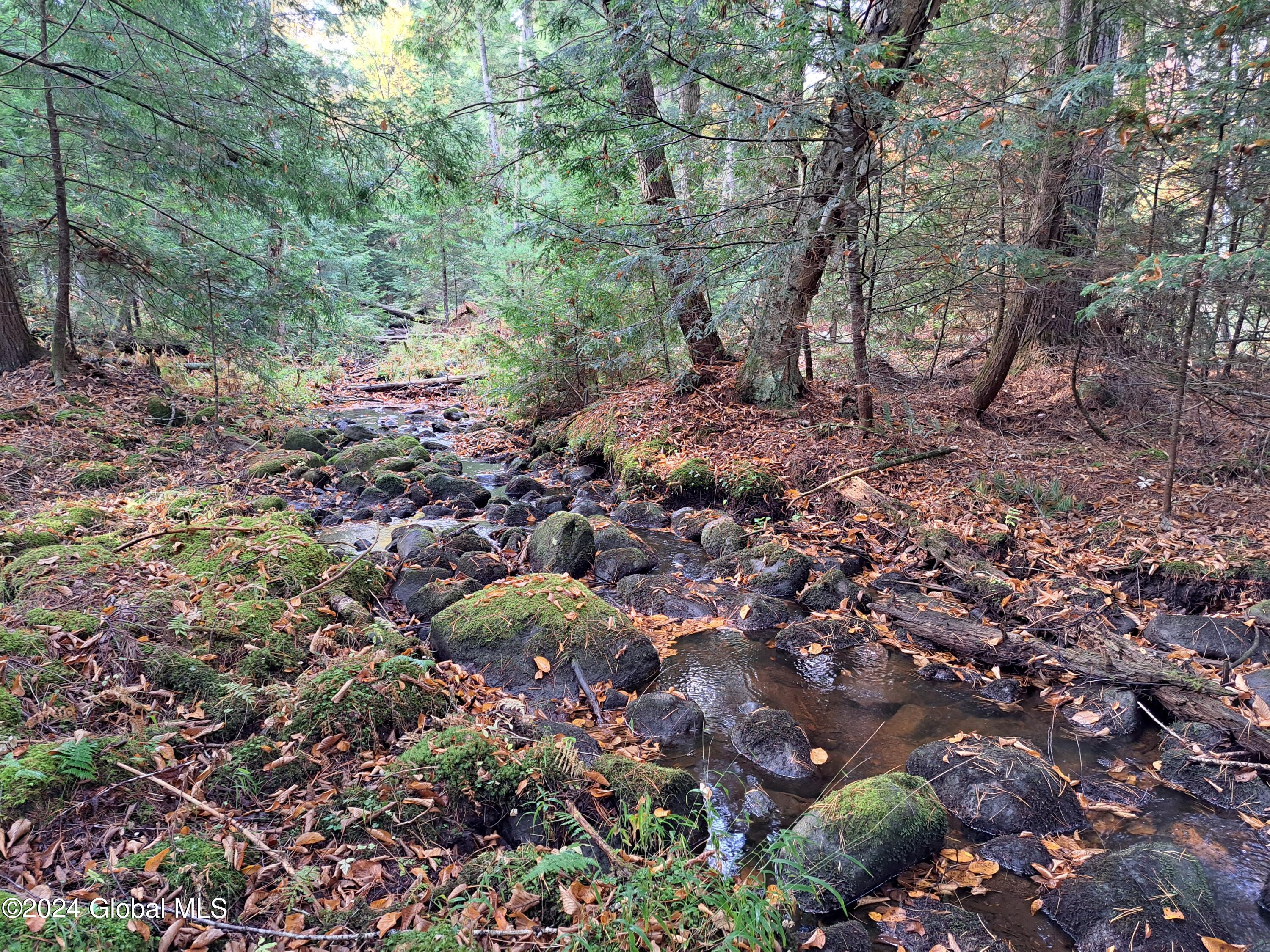 L9 Atateka Road Chestertown, NY 12817 - Photo 30 of 71 31 Potter Brook