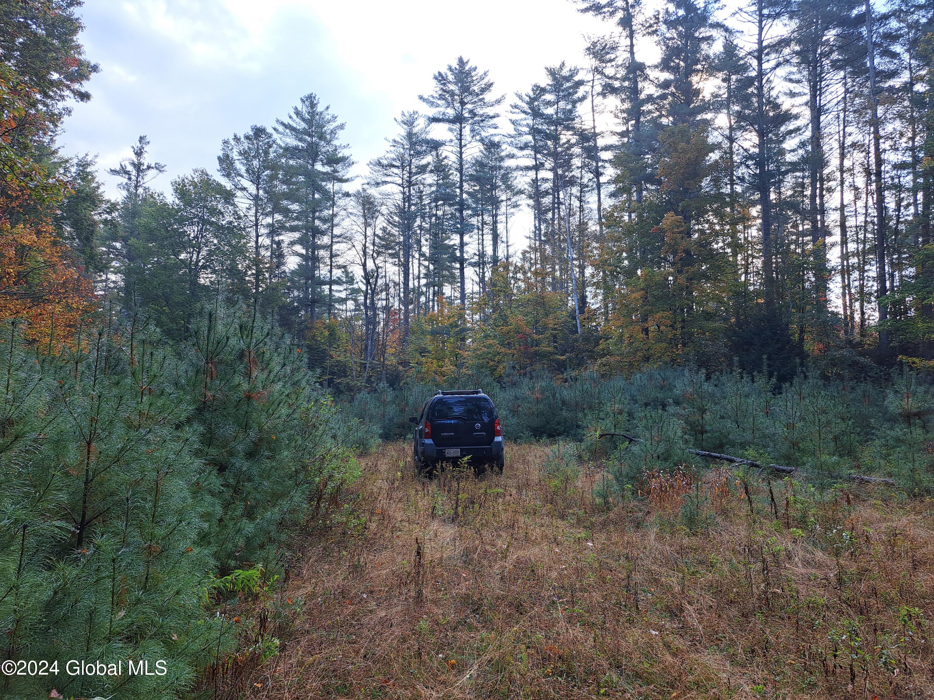 L9 Atateka Road Chestertown, NY 12817 - Photo 3 of 71 04 Log Landing at Access