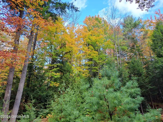 $299,900 | L9 Atateka Road, Chestertown, NY 12817