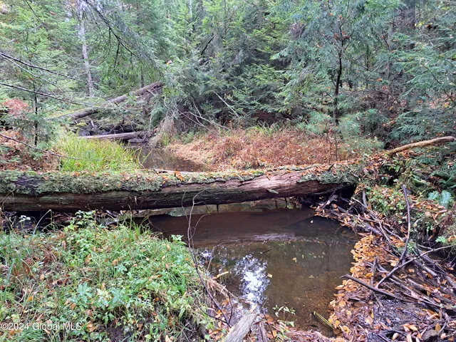 $299,900 | L9 Atateka Road, Chestertown, NY 12817