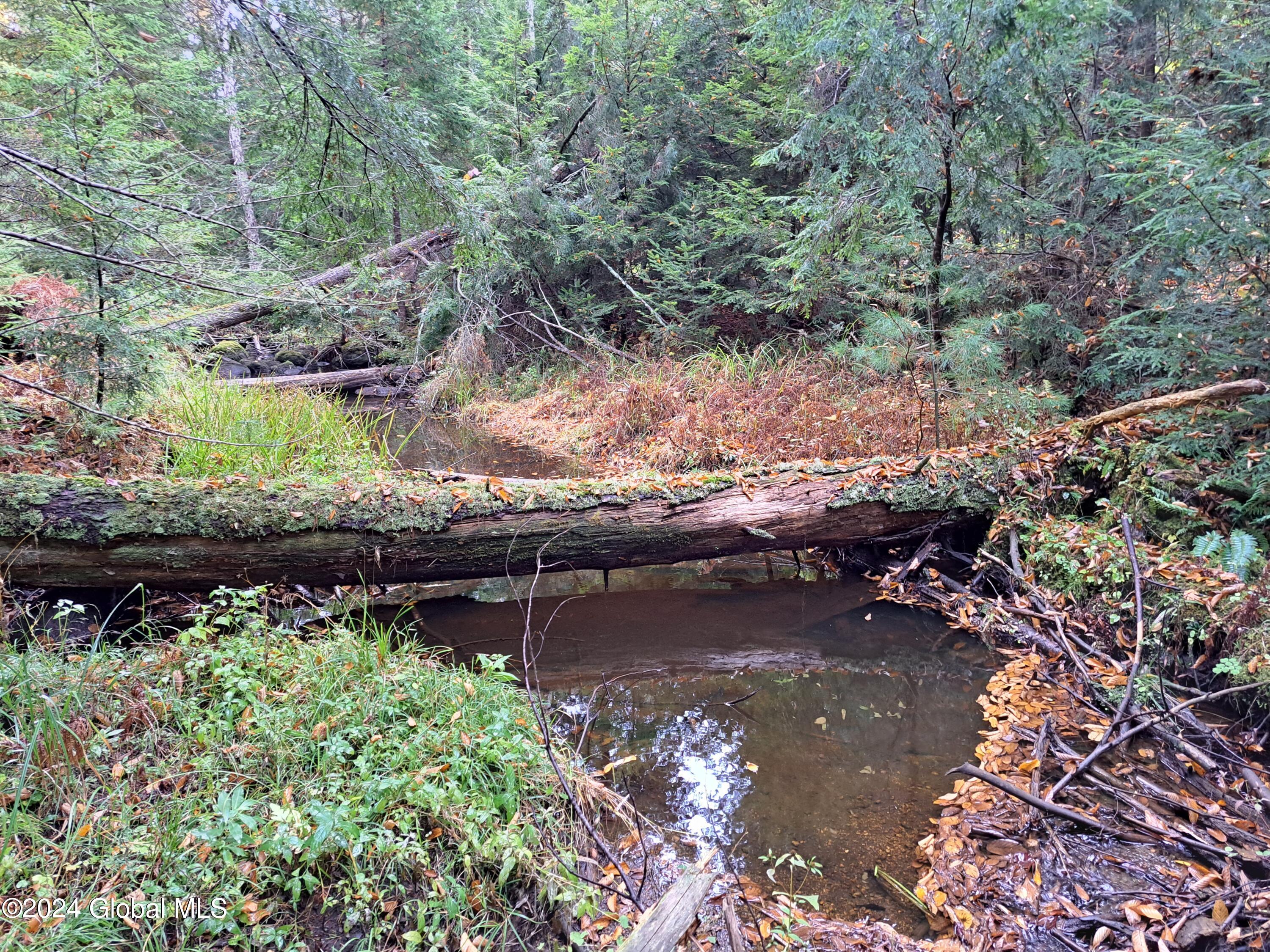 L9 Atateka Road Chestertown, NY 12817 - Photo 35 of 71 36 Potter Brook