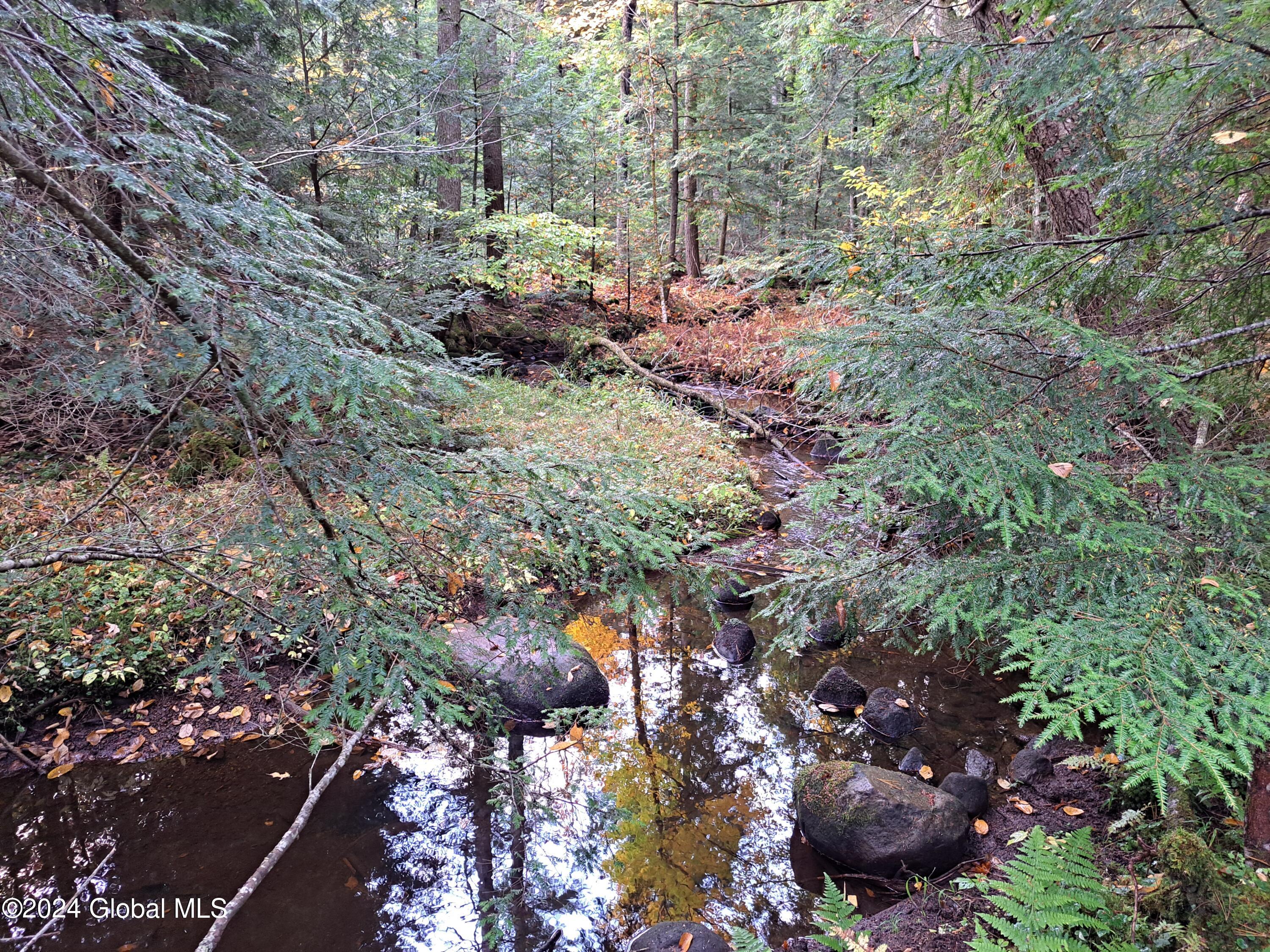 L9 Atateka Road Chestertown, NY 12817 - Photo 36 of 71 37 Potter Brook