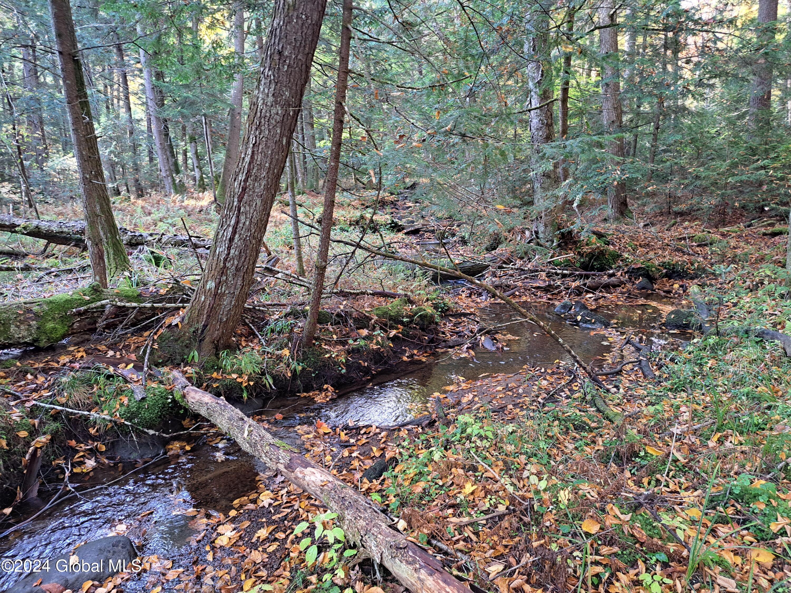 L9 Atateka Road Chestertown, NY 12817 - Photo 38 of 71 39 Potter Brook