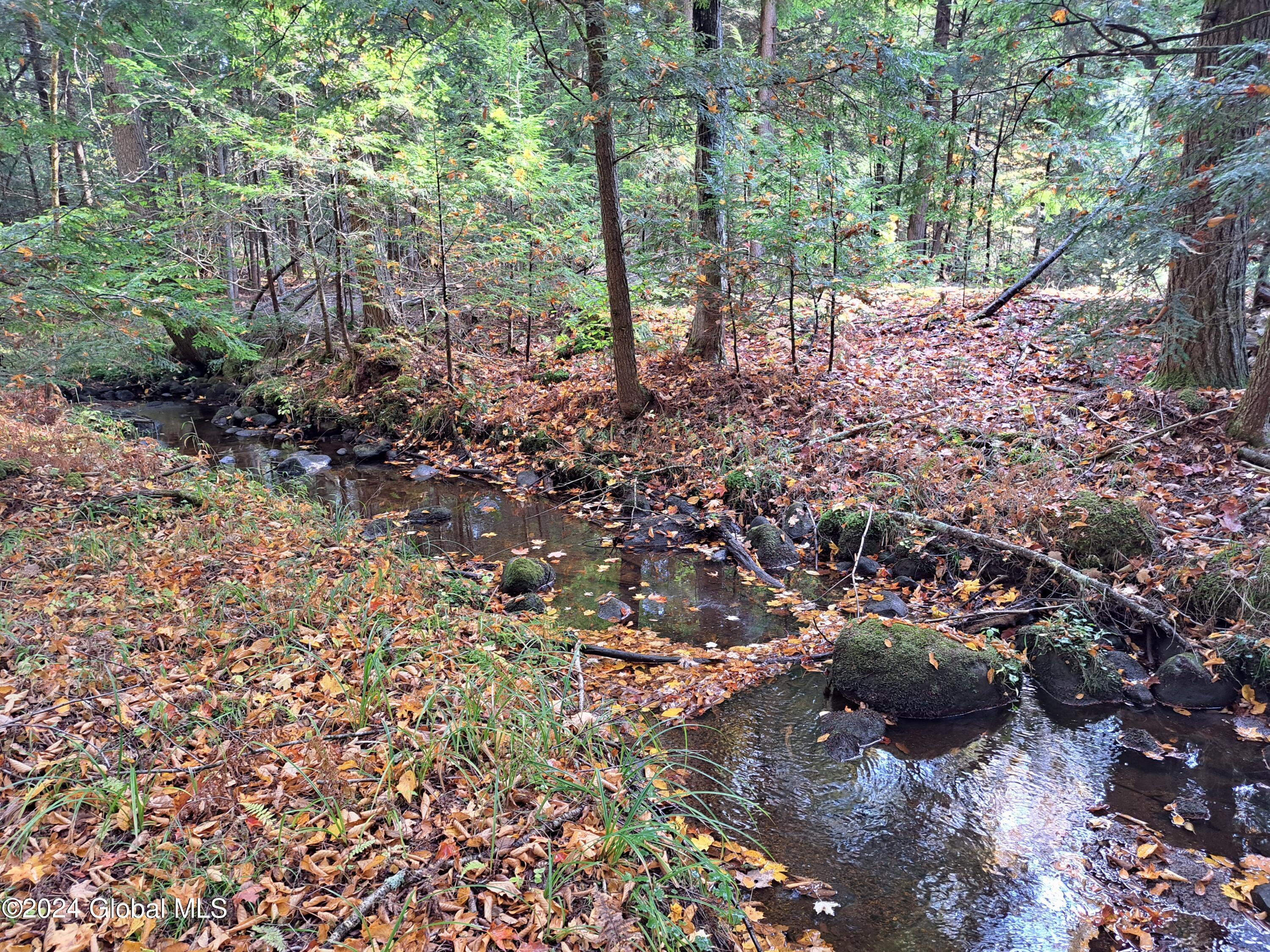 L9 Atateka Road Chestertown, NY 12817 - Photo 39 of 71 40 Potter Brook