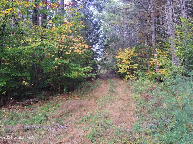 $299,900 | L9 Atateka Road, Chestertown, NY 12817