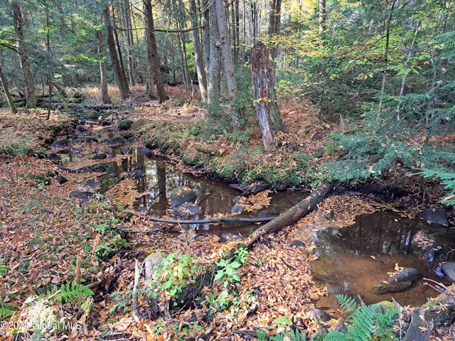 $299,900 | L9 Atateka Road, Chestertown, NY 12817