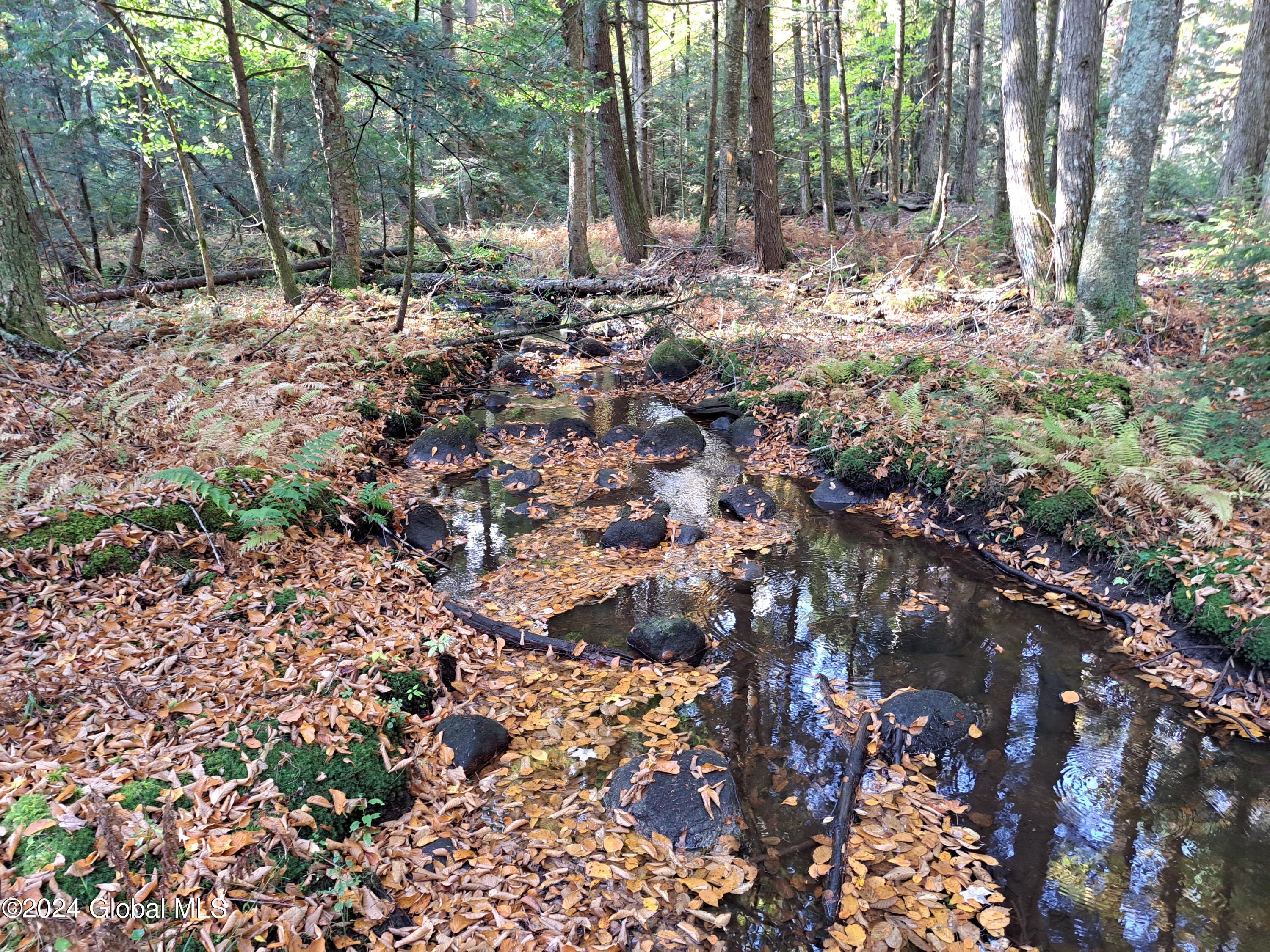 L9 Atateka Road Chestertown, NY 12817 - Photo 42 of 71 43 Potter Brook