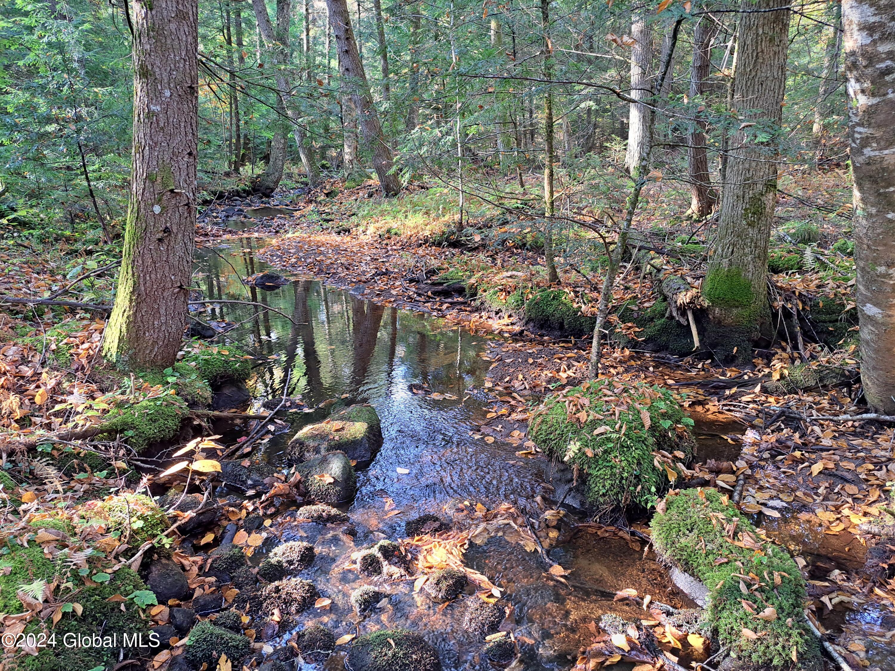 L9 Atateka Road Chestertown, NY 12817 - Photo 43 of 71 44 Potter Brook