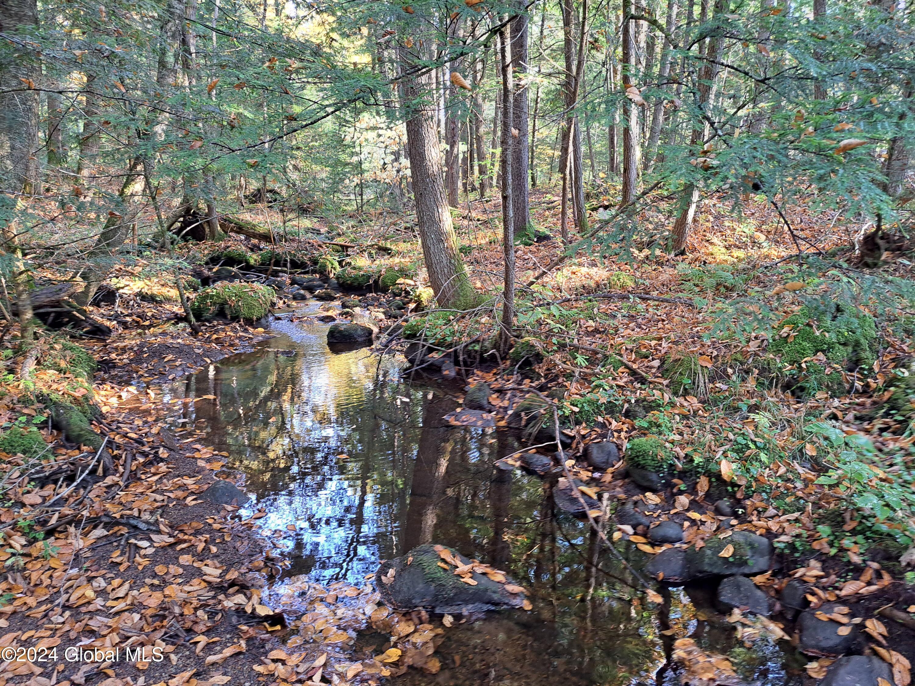 L9 Atateka Road Chestertown, NY 12817 - Photo 44 of 71 45 Potter Brook