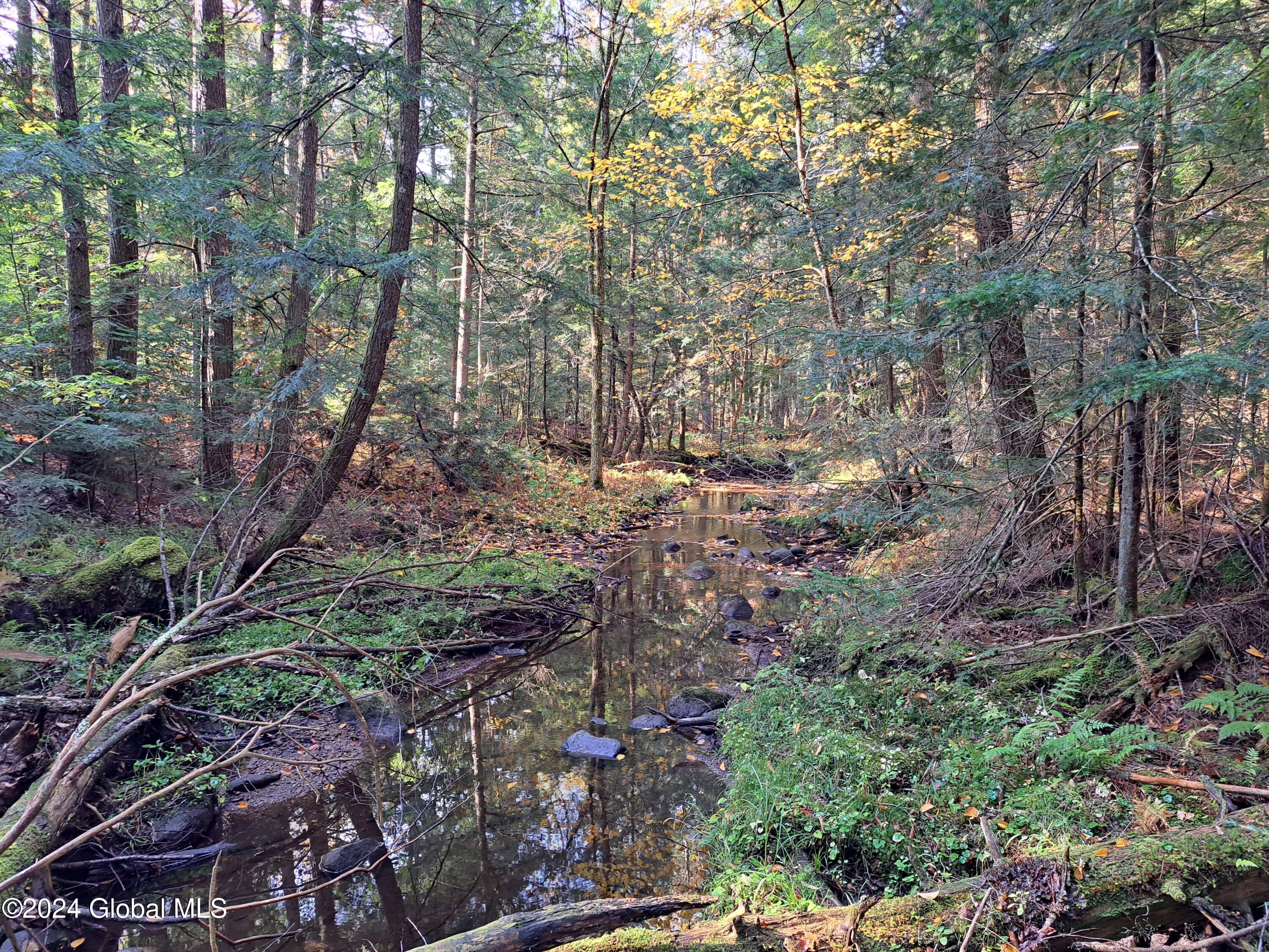 L9 Atateka Road Chestertown, NY 12817 - Photo 45 of 71 46 Potter Brook, October 2024