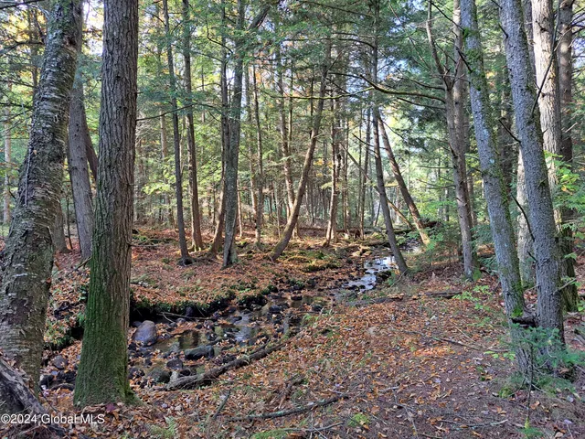 $299,900 | L9 Atateka Road, Chestertown, NY 12817