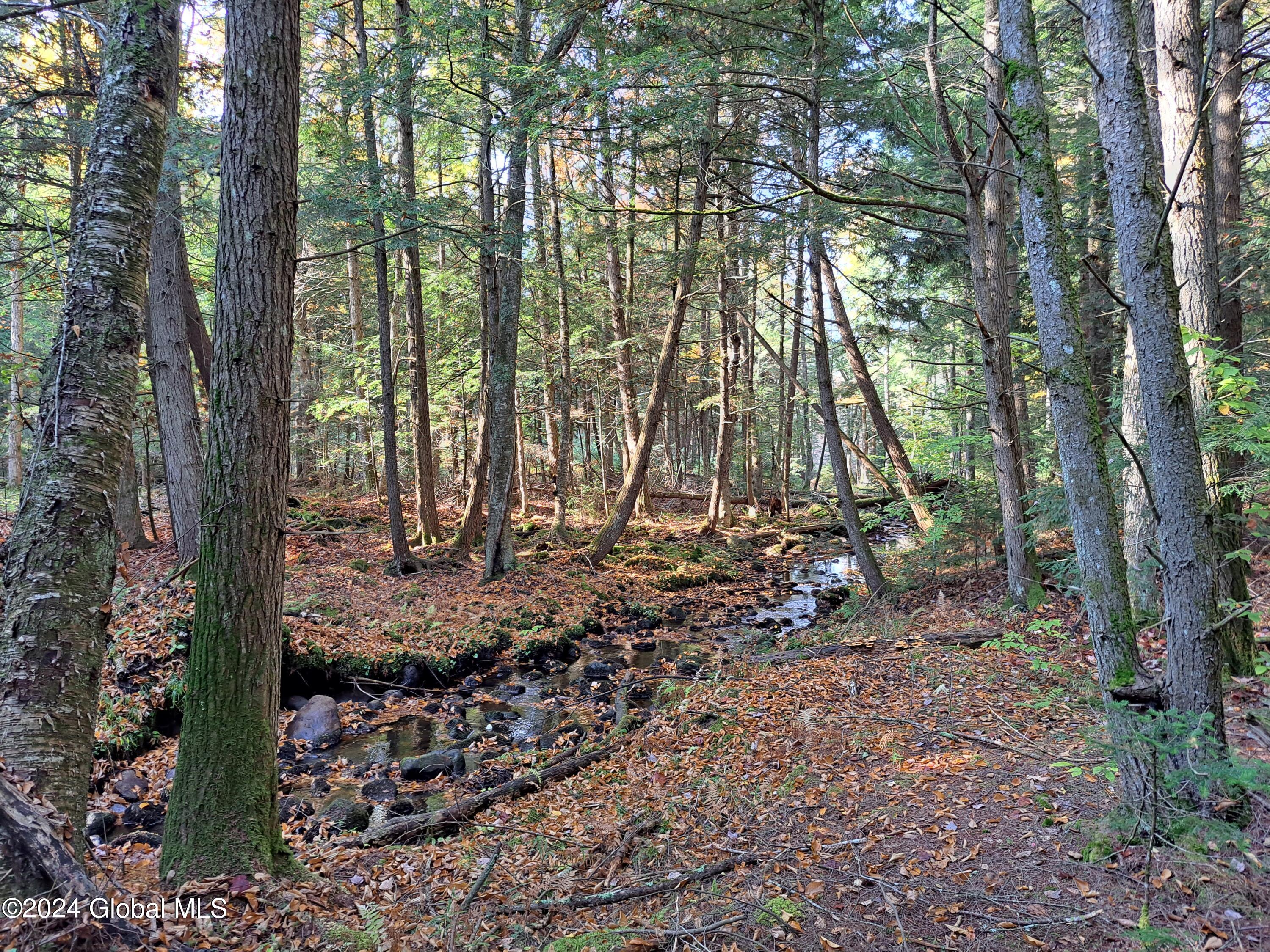 L9 Atateka Road Chestertown, NY 12817 - Photo 46 of 71 47 Mature Trees Around Potter Brook