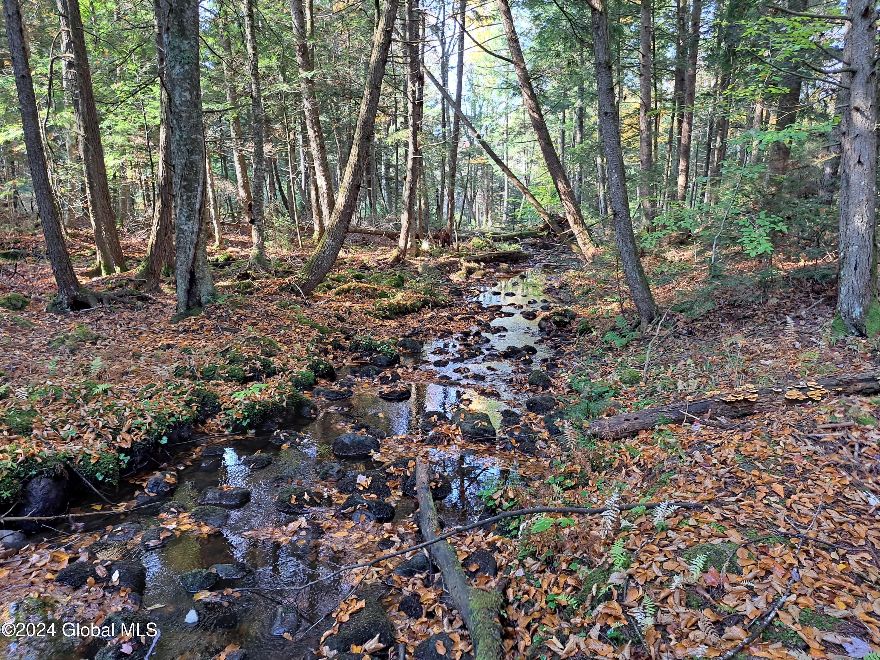 L9 Atateka Road Chestertown, NY 12817 - Photo 47 of 71 48 Potter Brook