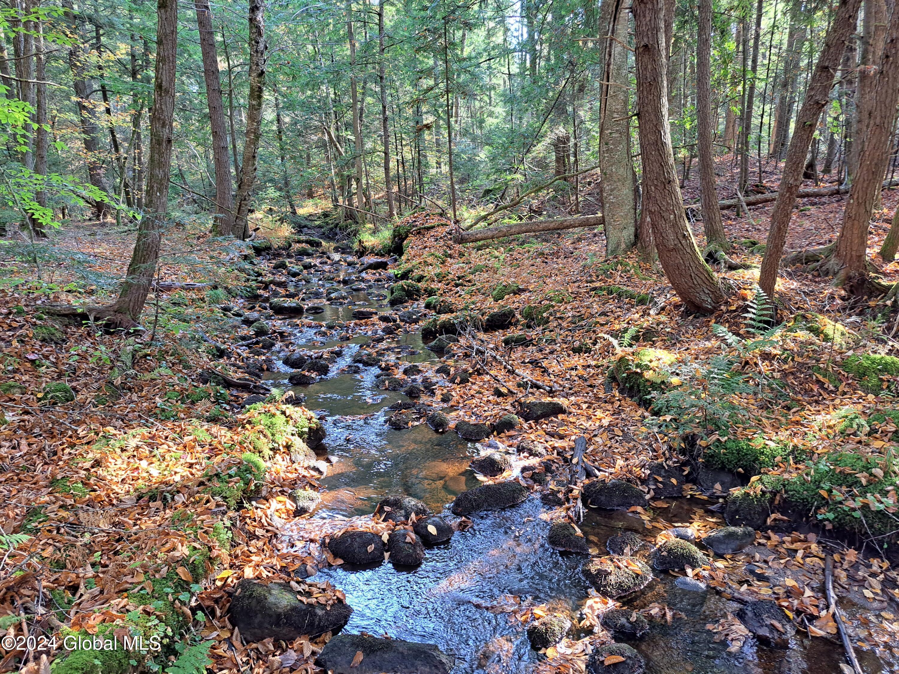L9 Atateka Road Chestertown, NY 12817 - Photo 48 of 71 49 Potter Brook