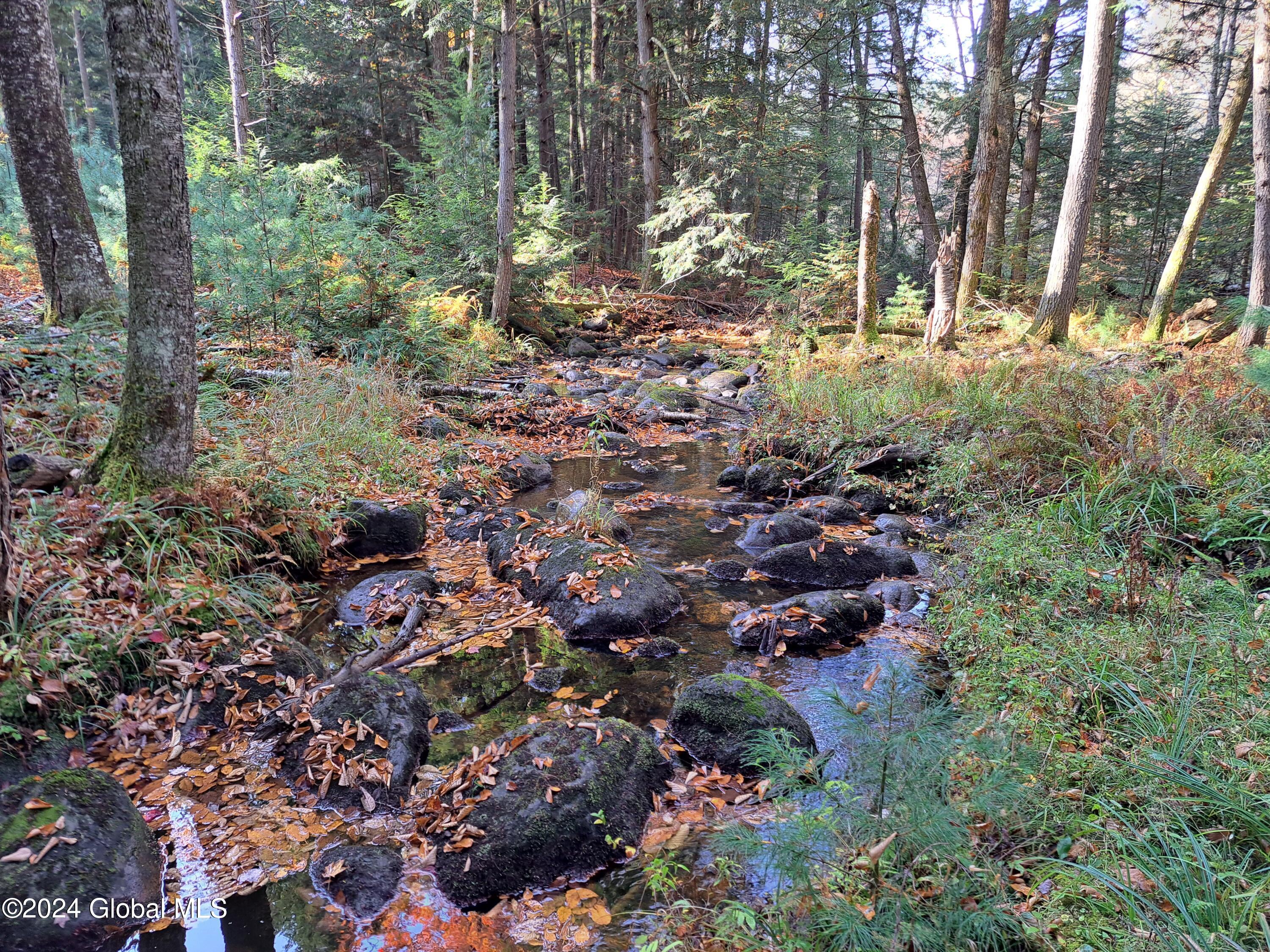 L9 Atateka Road Chestertown, NY 12817 - Photo 49 of 71 50 Potter Brook