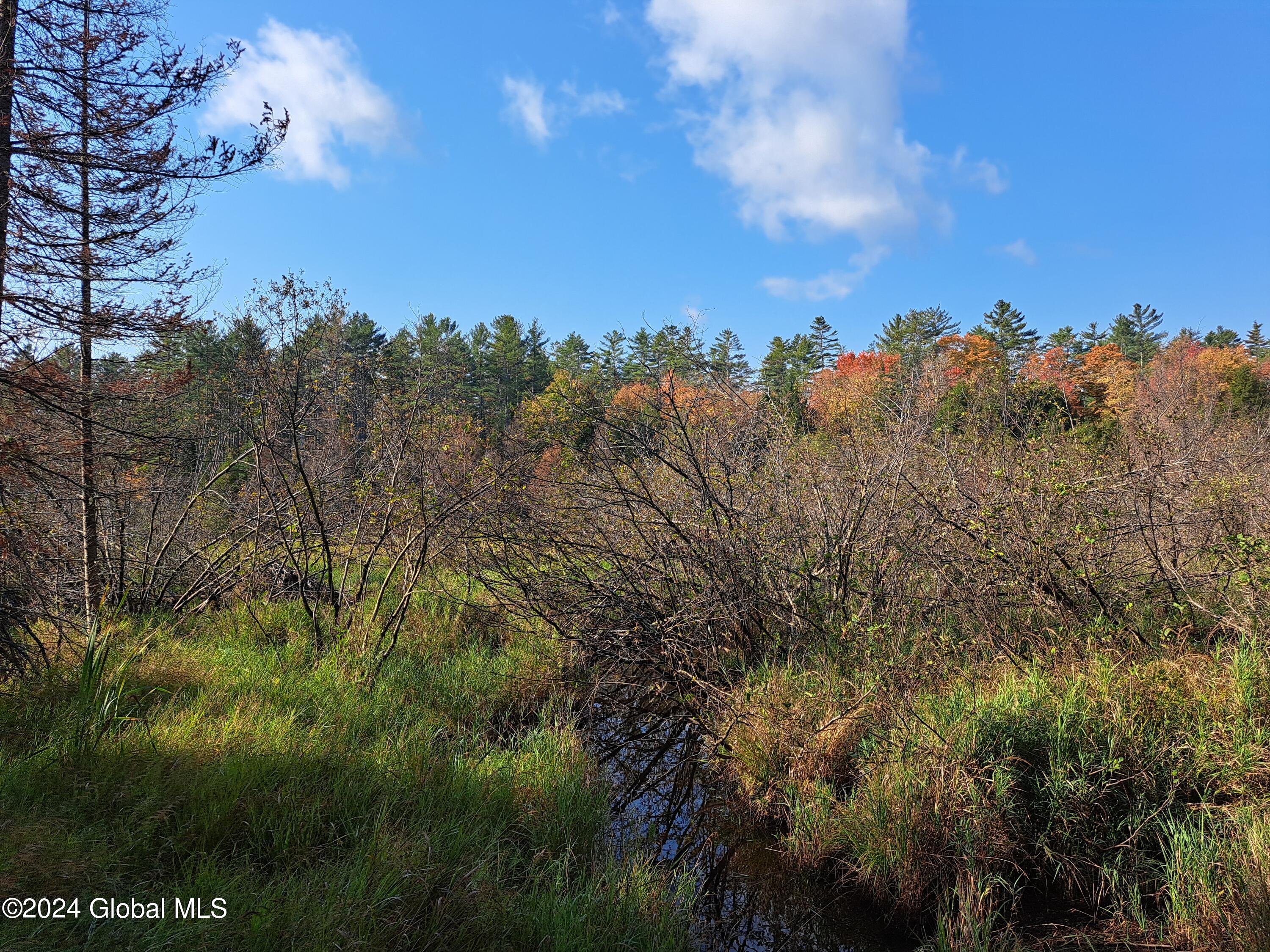 L9 Atateka Road Chestertown, NY 12817 - Photo 50 of 71 51 Potter Brook at Large Wetland