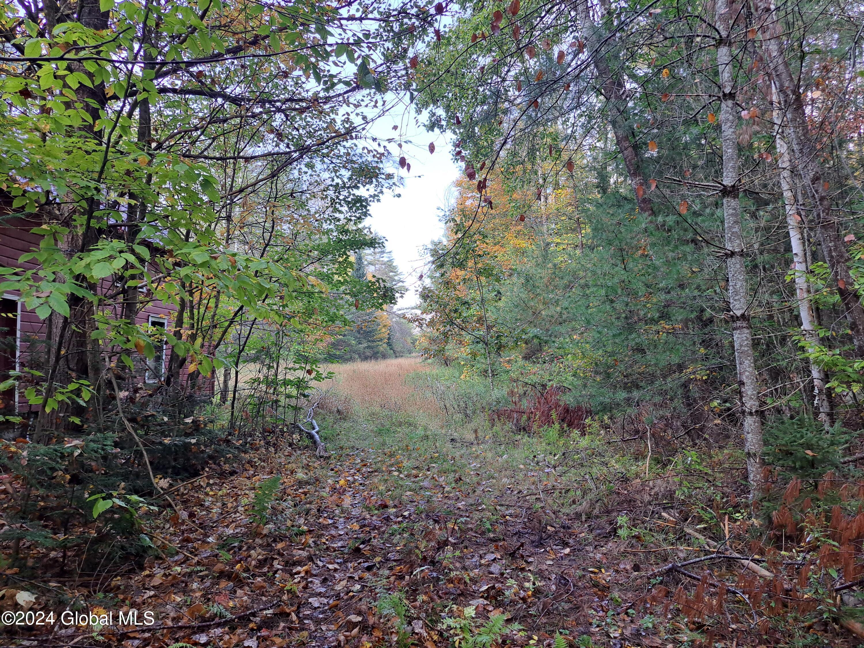 L9 Atateka Road Chestertown, NY 12817 - Photo 5 of 71 06 Right of Way Out