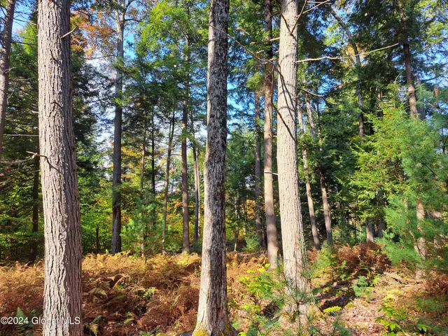 $299,900 | L9 Atateka Road, Chestertown, NY 12817