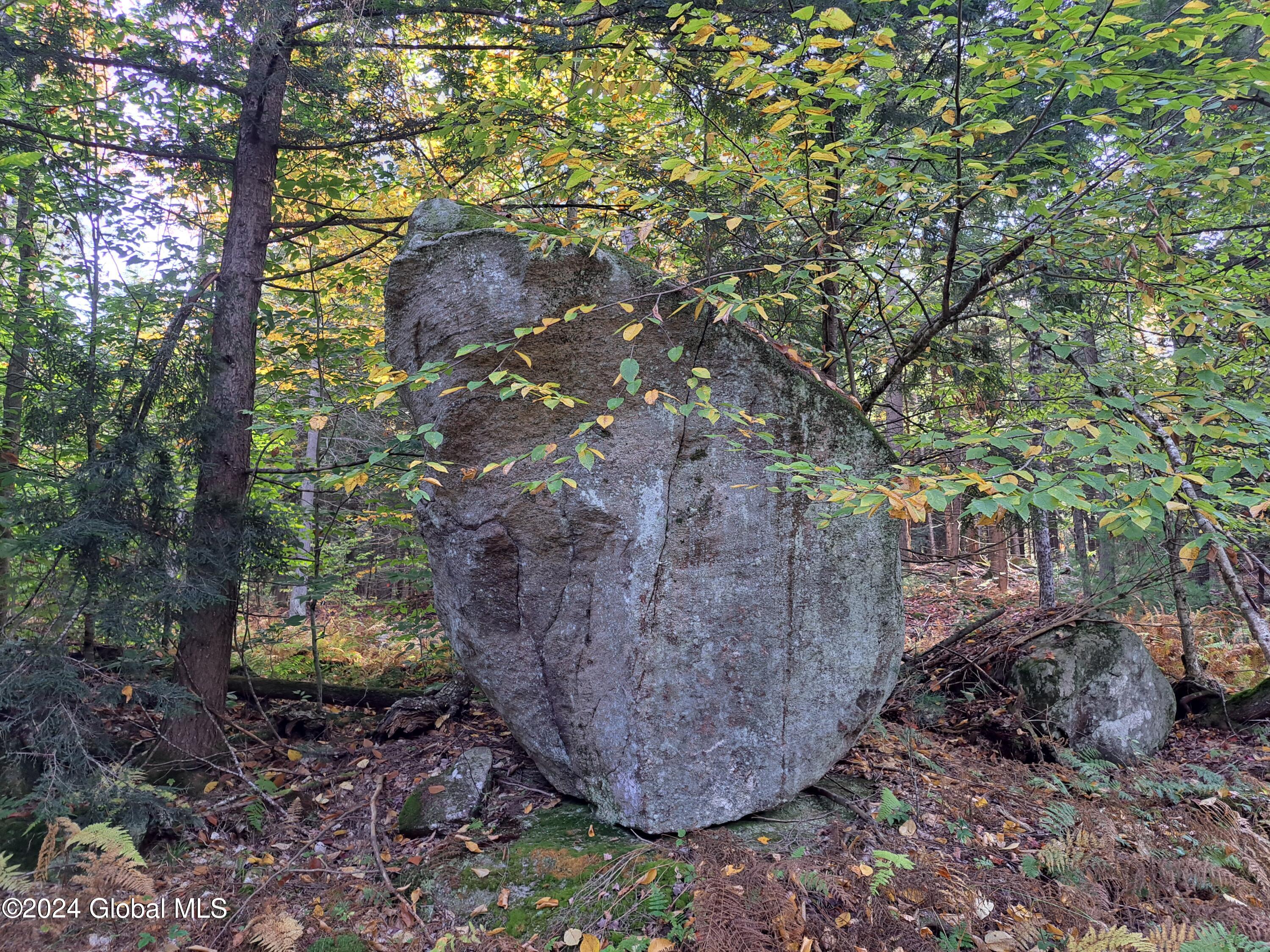 L9 Atateka Road Chestertown, NY 12817 - Photo 53 of 71 54 Glacial Erratic Boulder
