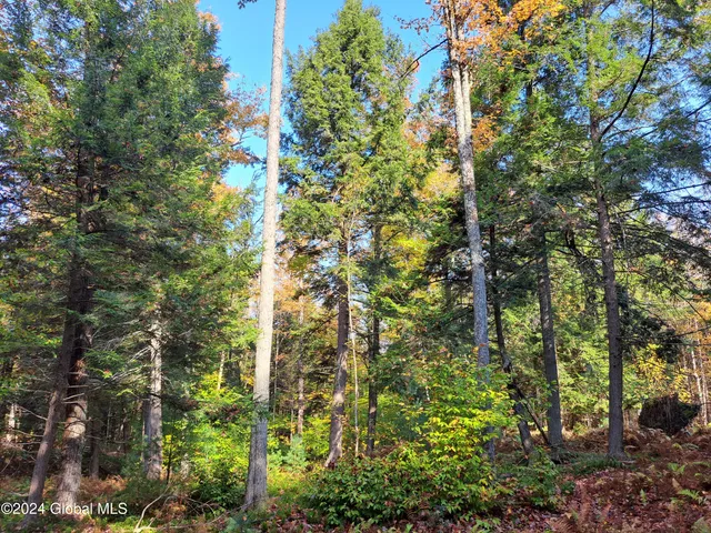 $299,900 | L9 Atateka Road, Chestertown, NY 12817