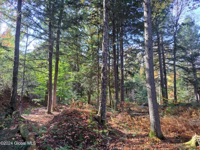 $299,900 | L9 Atateka Road, Chestertown, NY 12817