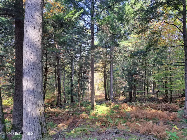 $299,900 | L9 Atateka Road, Chestertown, NY 12817