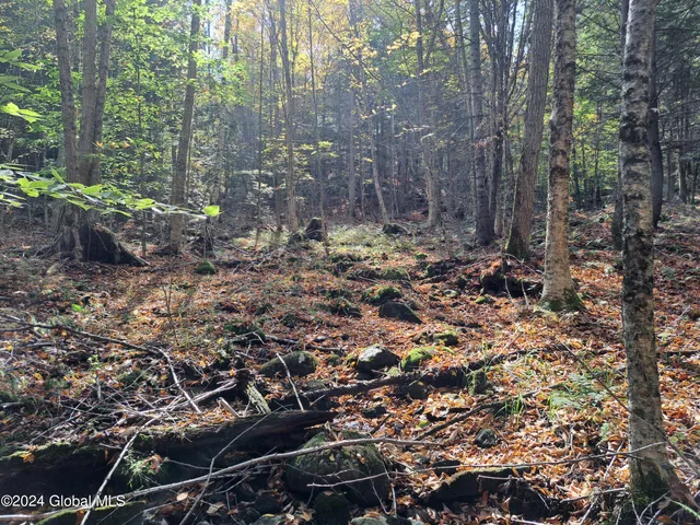 $299,900 | L9 Atateka Road, Chestertown, NY 12817