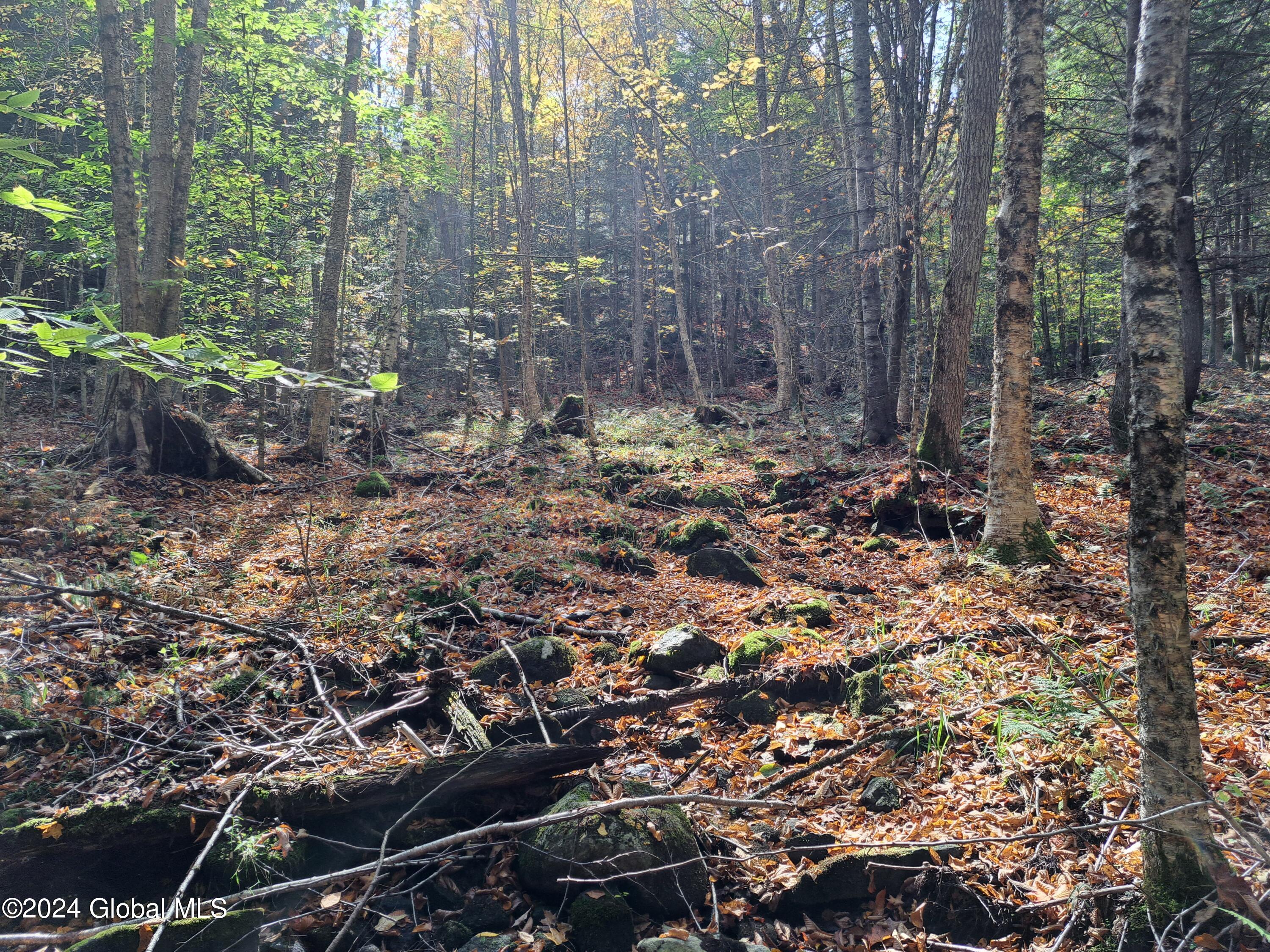 L9 Atateka Road Chestertown, NY 12817 - Photo 58 of 71 59 Headwaters of Intermittent Stream