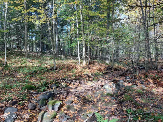 $299,900 | L9 Atateka Road, Chestertown, NY 12817