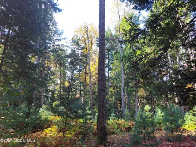 $299,900 | L9 Atateka Road, Chestertown, NY 12817