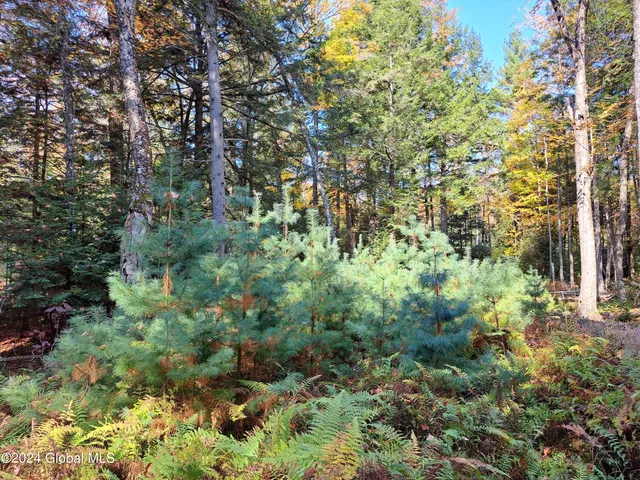 $299,900 | L9 Atateka Road, Chestertown, NY 12817