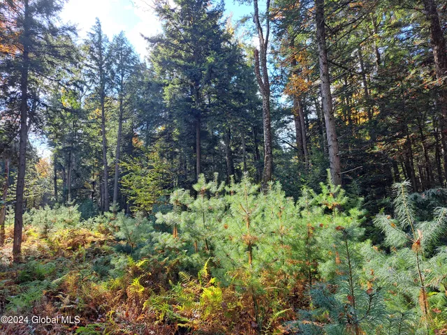 $299,900 | L9 Atateka Road, Chestertown, NY 12817