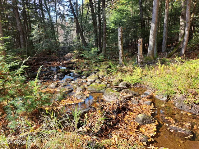 $299,900 | L9 Atateka Road, Chestertown, NY 12817