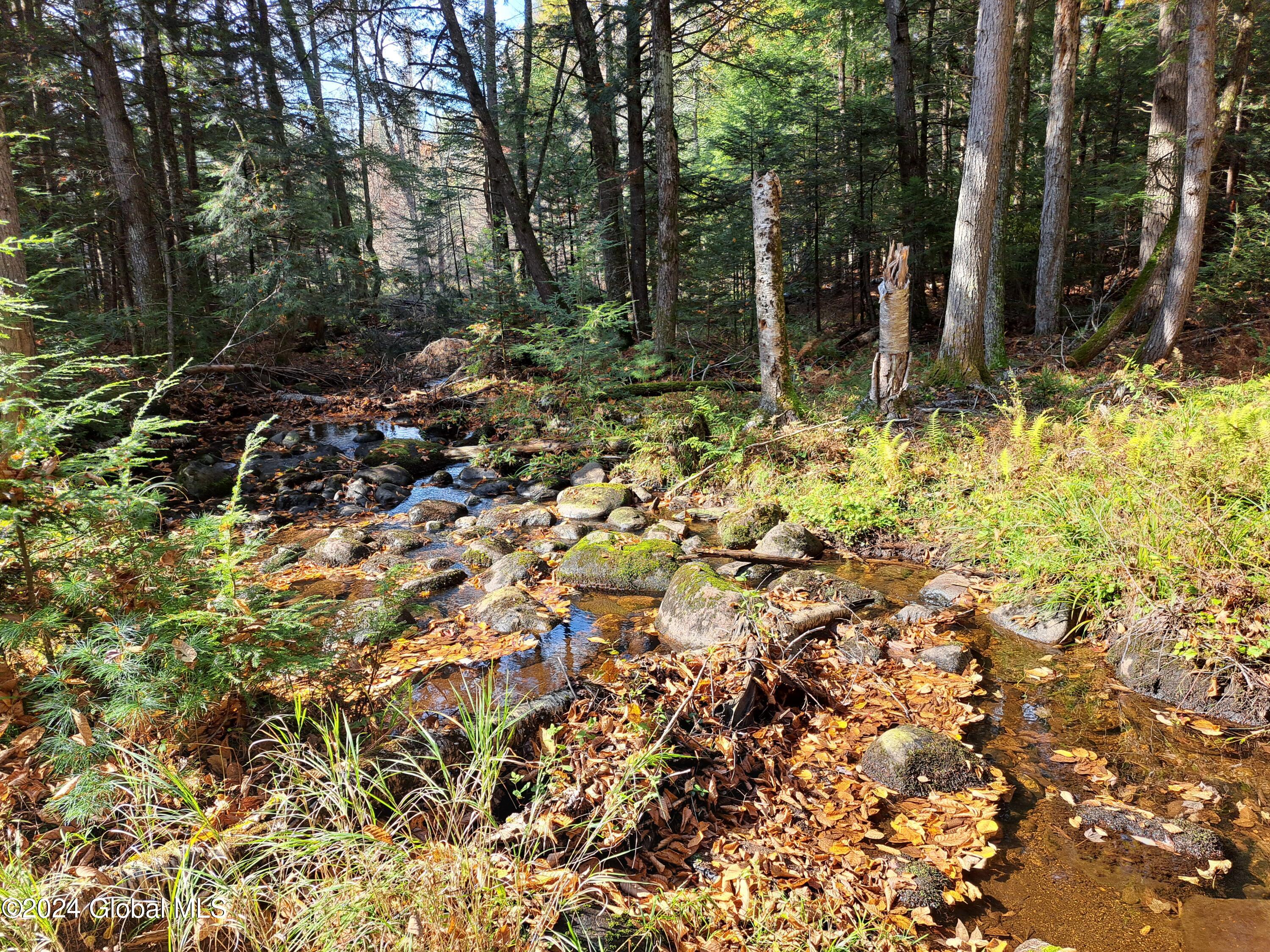 L9 Atateka Road Chestertown, NY 12817 - Photo 64 of 71 65 Potter Brook