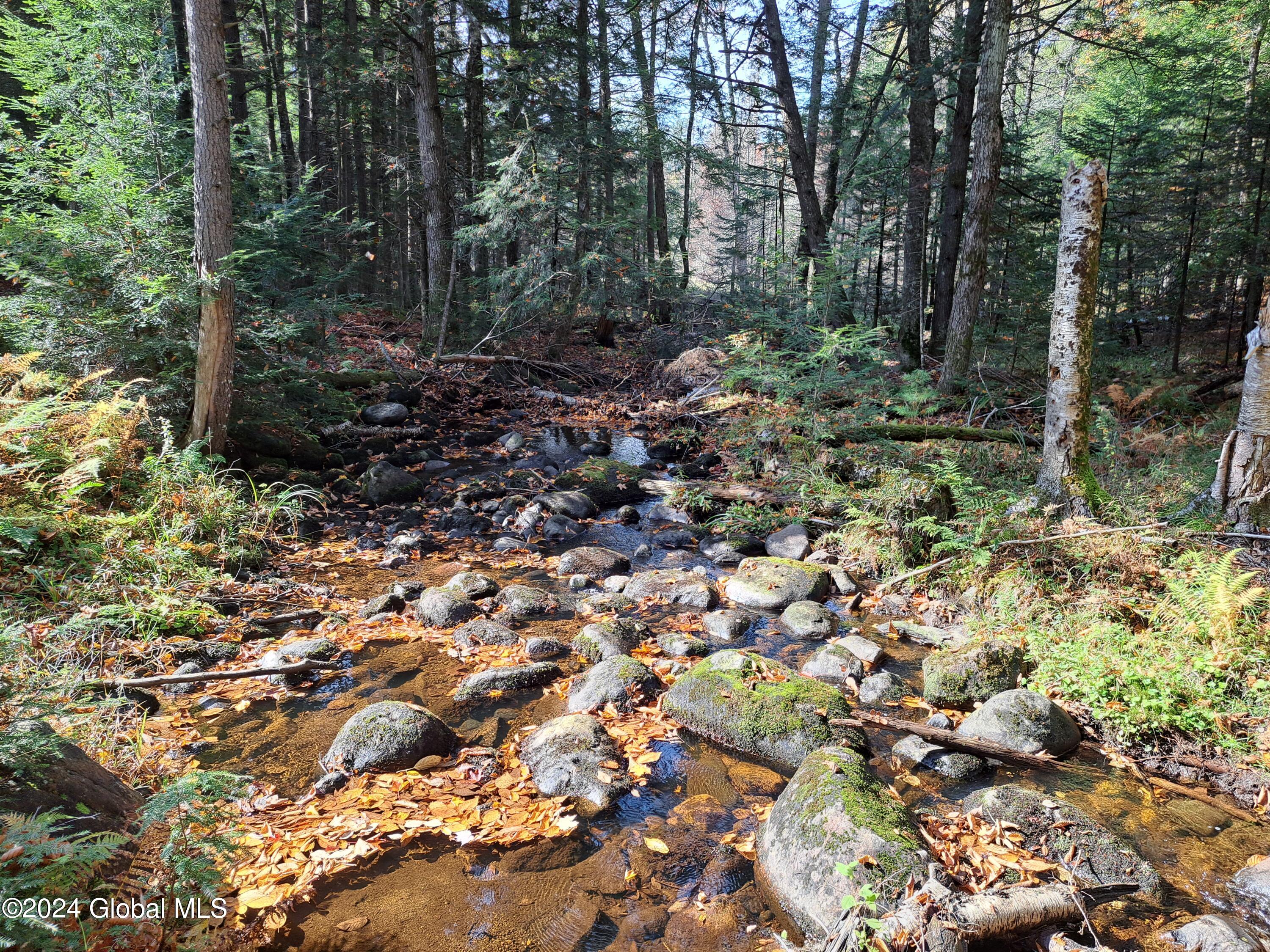 L9 Atateka Road Chestertown, NY 12817 - Photo 65 of 71 66 Potter Brook