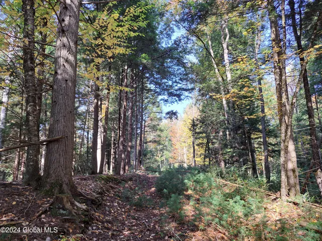 $299,900 | L9 Atateka Road, Chestertown, NY 12817