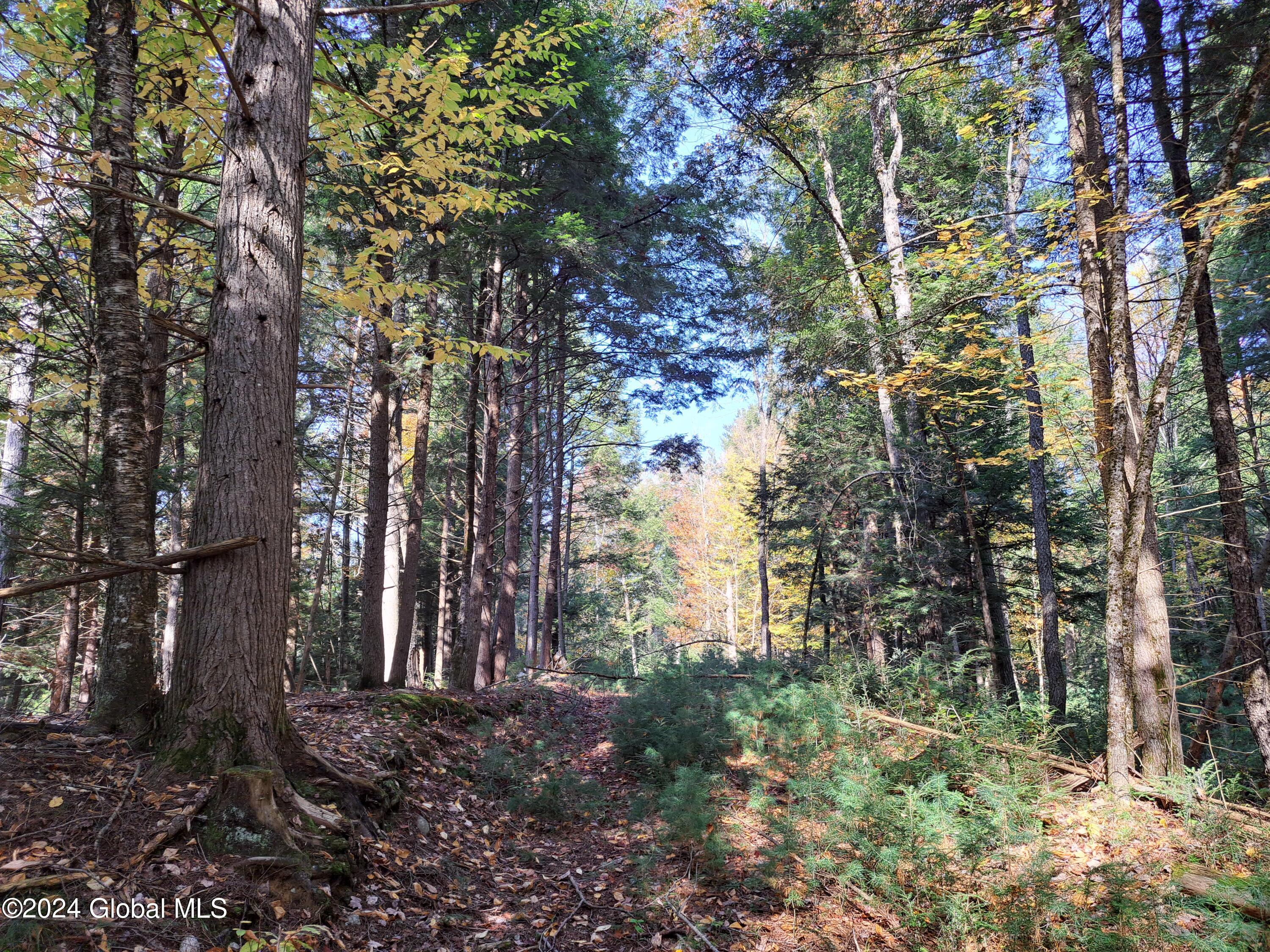 L9 Atateka Road Chestertown, NY 12817 - Photo 66 of 71 67 Logging Trail
