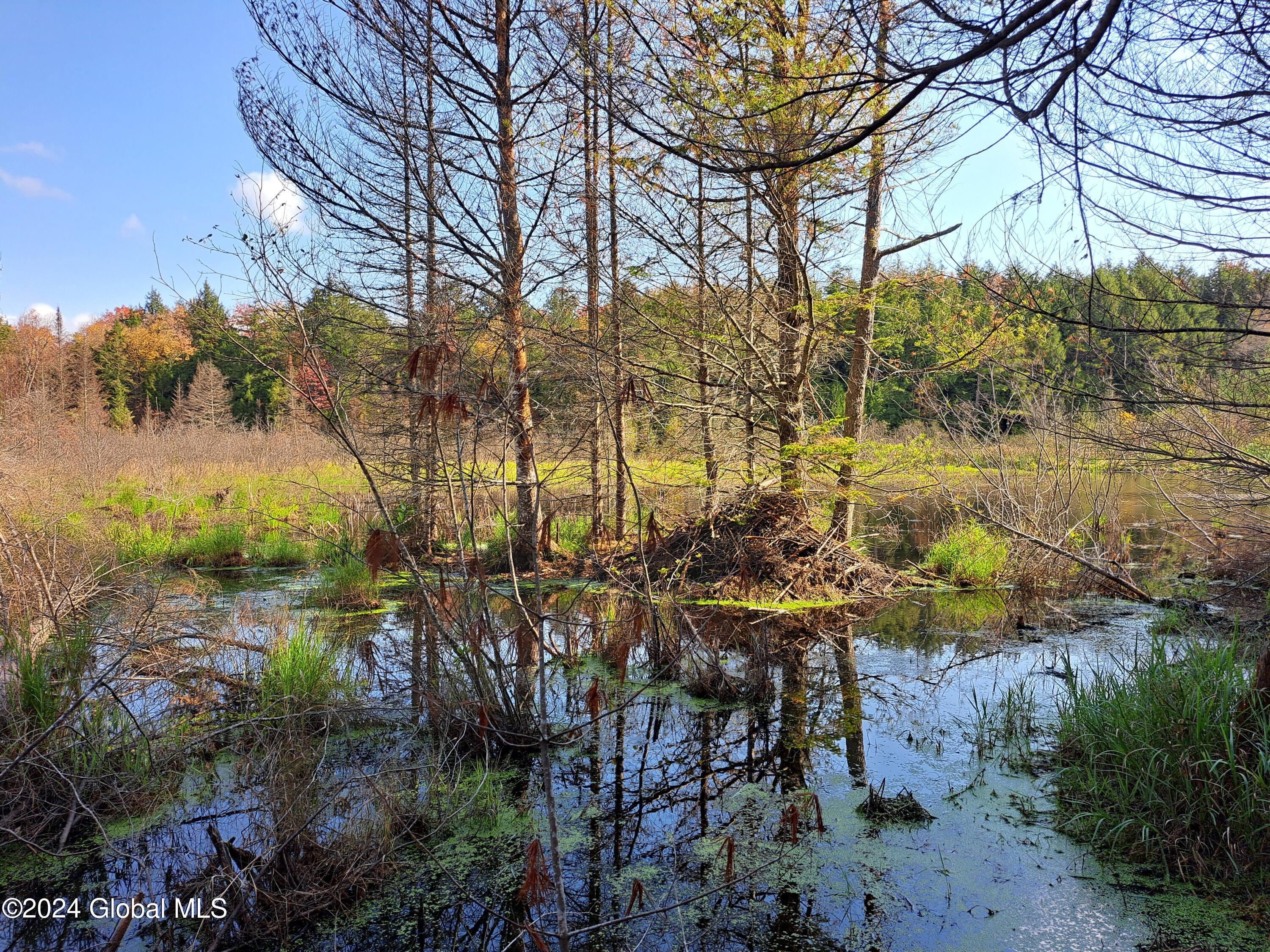 L9 Atateka Road Chestertown, NY 12817 - Photo 69 of 71 70 Beaver Pond