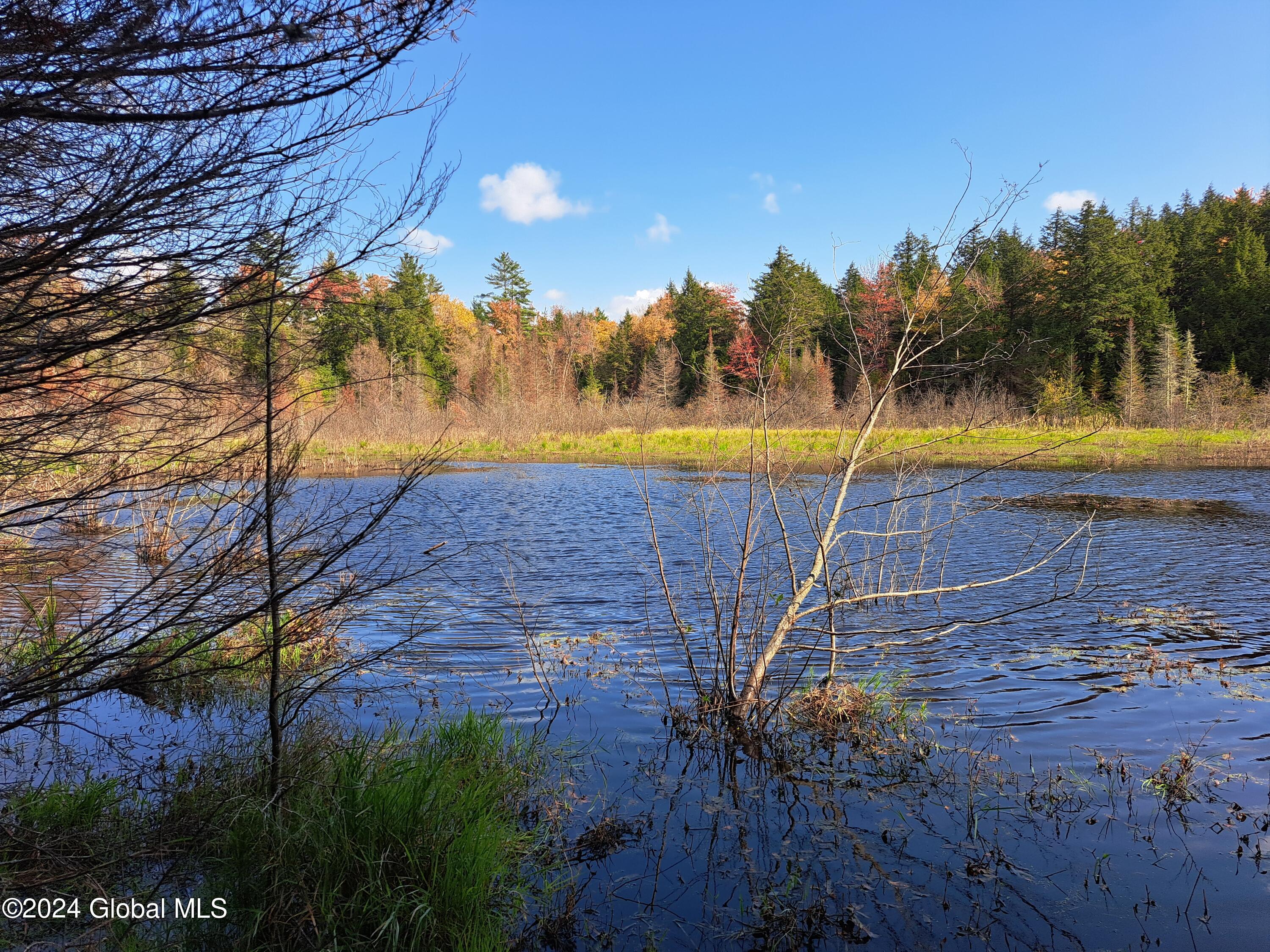 L9 Atateka Road Chestertown, NY 12817 - Photo 70 of 71 71 Beaver Pond
