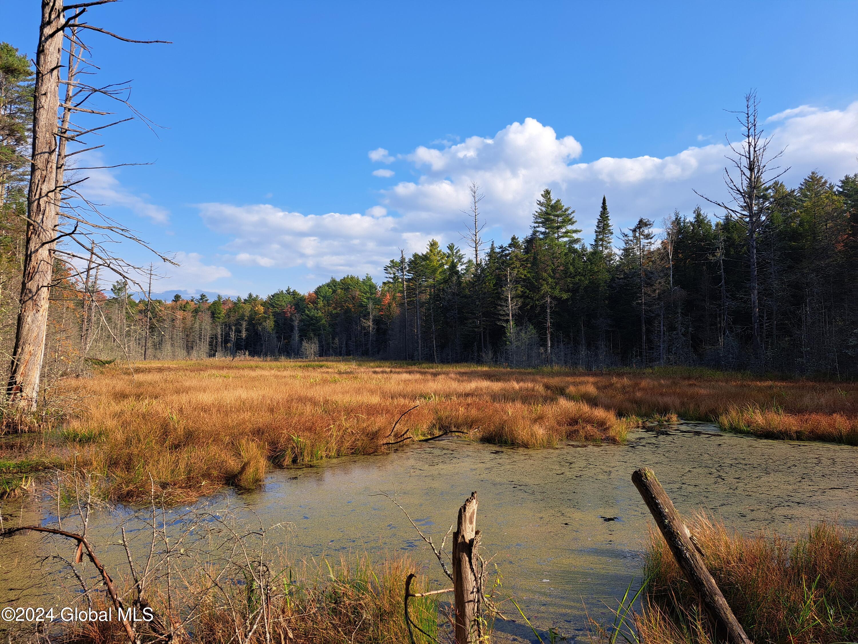 L9 Atateka Road Chestertown, NY 12817 - Photo 7 of 71 08 Beaver Pond at Causeway