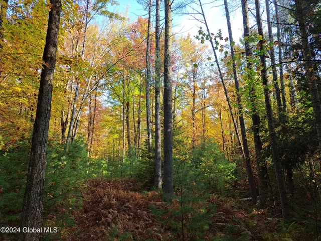 $299,900 | L9 Atateka Road, Chestertown, NY 12817