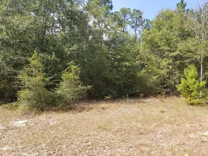 180 Huckaba Road DeFuniak Springs, FL 32435 - Photo 6 of 8 Gallery Image 6